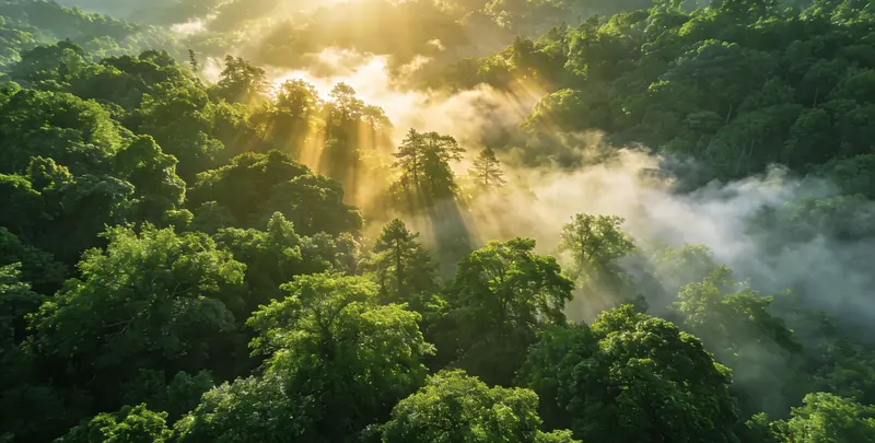 益阳肺癌172基因检测图片1