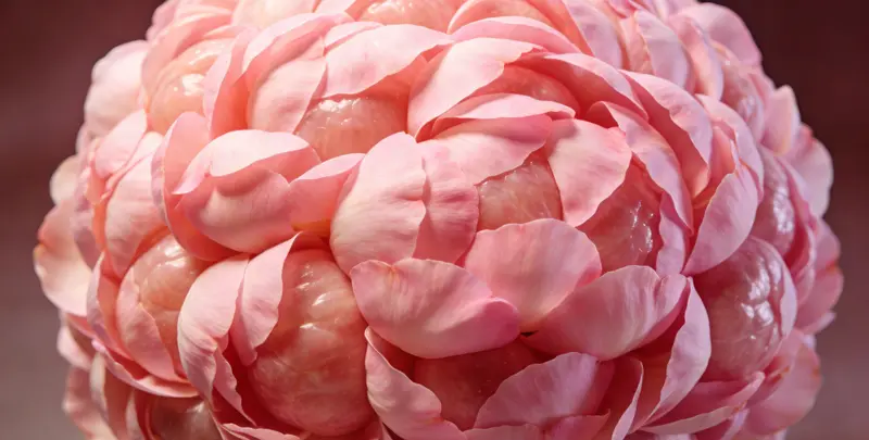 益阳BRCA1/2乳腺癌卵巢癌基因检测图片1